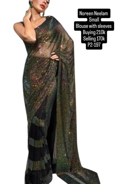 NOREEN NEELAM SAREE P2-197