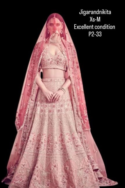 JIGARANDNIKITA INDIAN P2-233